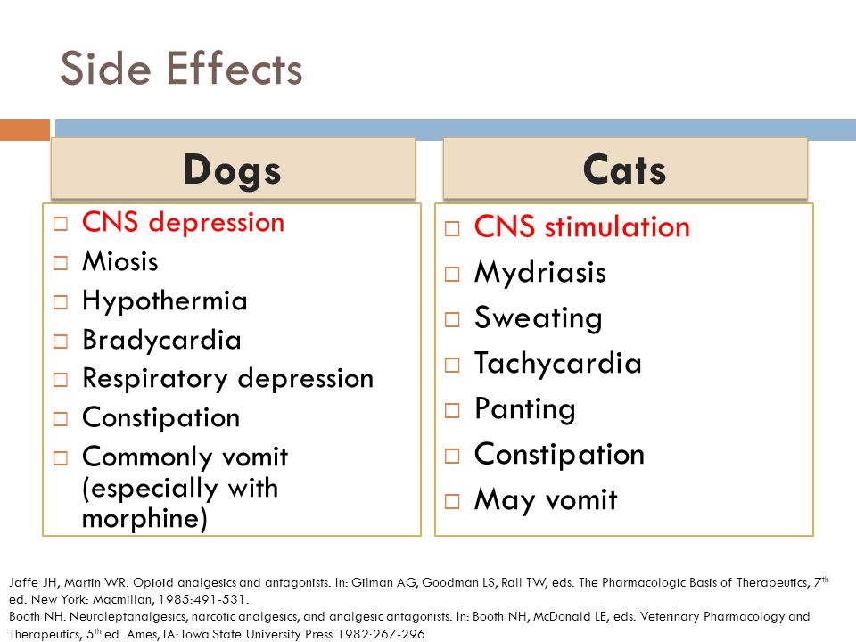 tramadol for dogs dosing